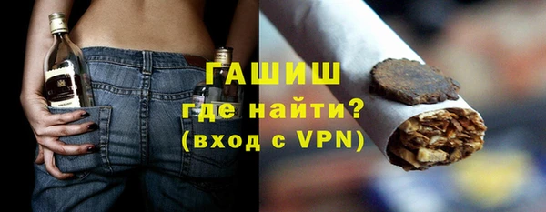 дмт Ельня