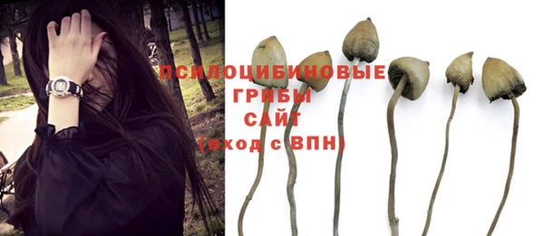 МДМА Дмитров