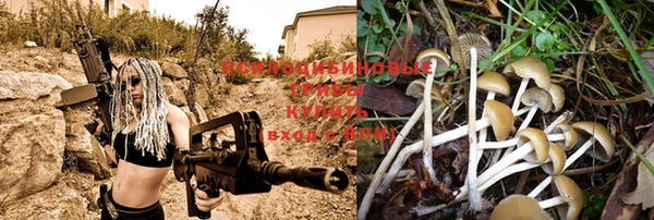 прущая мука Шадринск