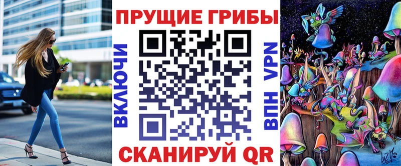 блэк спрут   купить наркотик  Полесск  Галлюциногенные грибы MAGIC MUSHROOMS 